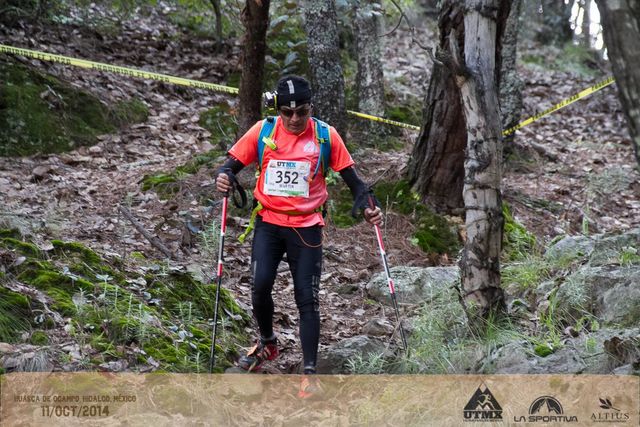 Martín Jarillo Ciprés